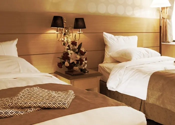 Olympic Parktel 3*